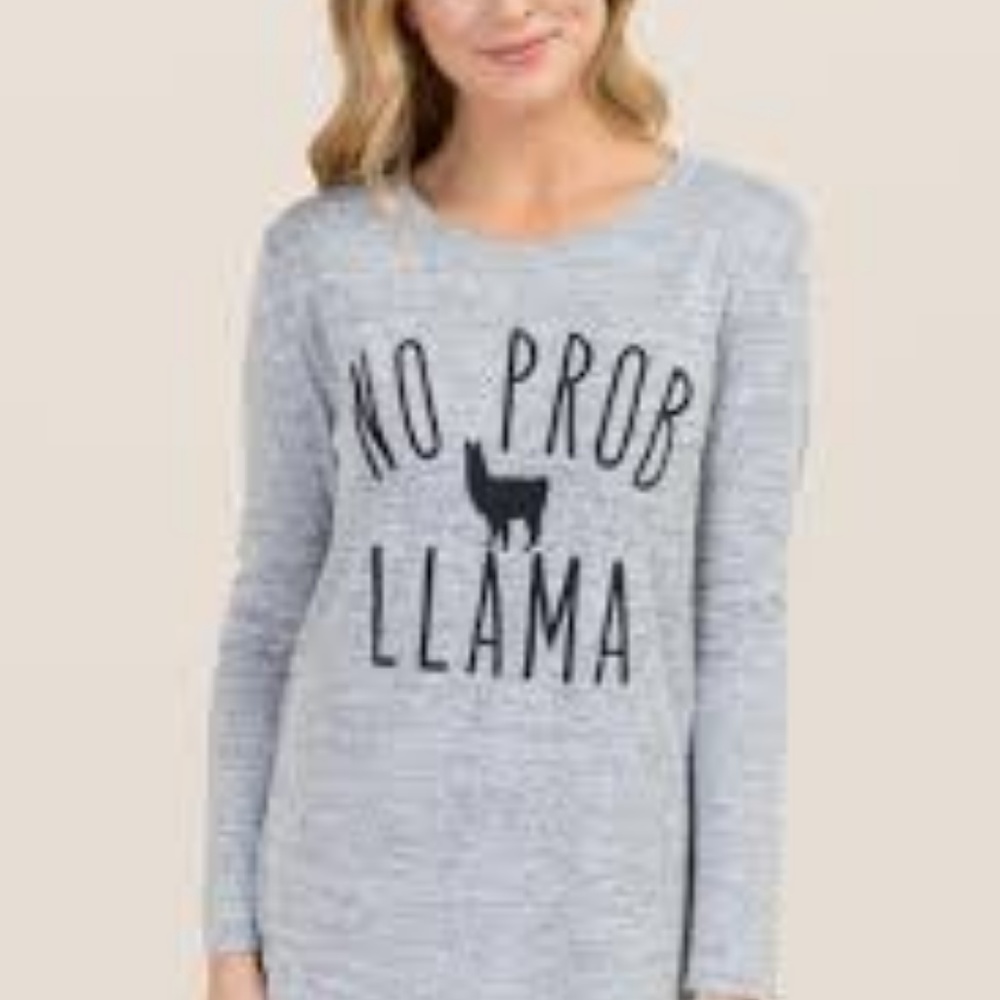 Never worn, Graphic Sweat Shirt - Super Cozy!